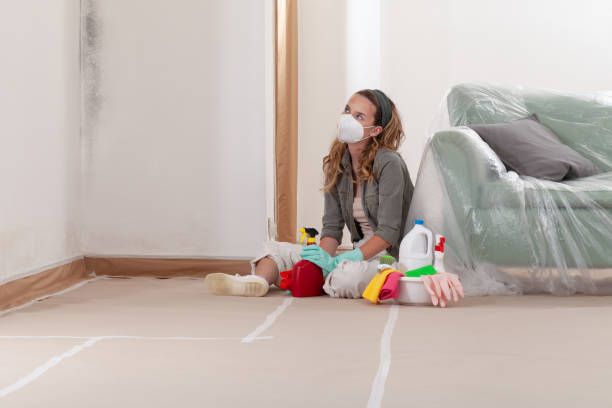Reliable Crawl Space Mold Remediation contractor in Raritan, NJ by Mold Remediation HQ